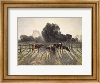 Framed Grazing Cows