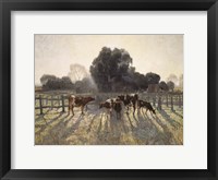 Framed Grazing Cows