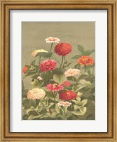 Framed Antique Botanical Collection 1