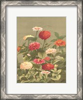 Framed Antique Botanical Collection 1