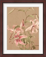 Framed Antique Botanical Collection 3