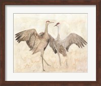 Framed 'Sandhill Cranes 1' border=