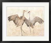 Sandhill Cranes 1 Framed Print