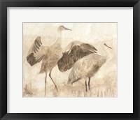 Framed Sandhill Cranes 2