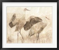Framed Sandhill Cranes 2