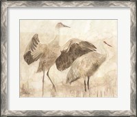 Framed Sandhill Cranes 2