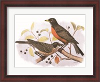 Framed Birds and Berries