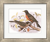 Framed Birds and Berries