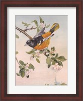 Framed Spring Song Bird