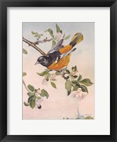 Framed Spring Song Bird