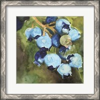 Framed Blueberries 1