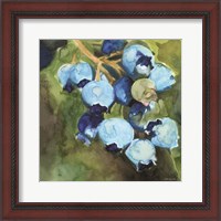 Framed Blueberries 1