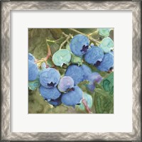 Framed 'Blueberries 2' border=