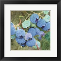 Framed Blueberries 2