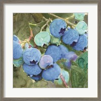 Framed 'Blueberries 2' border=