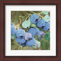 Framed Blueberries 2
