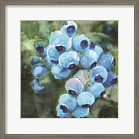 Framed Blueberries 3