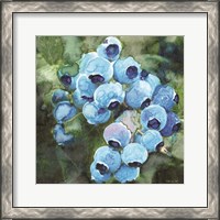 Framed 'Blueberries 3' border=