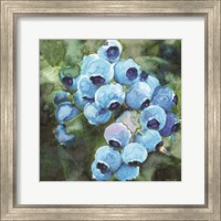 Framed Blueberries 3