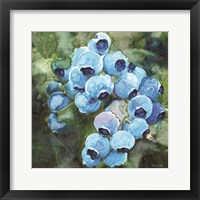 Framed 'Blueberries 3' border=