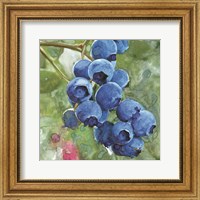Framed Blueberries 4