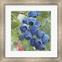 Framed Blueberries 4