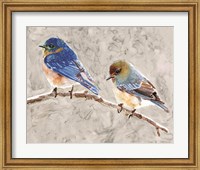 Framed Eastern Bluebirds 1