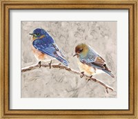 Framed Eastern Bluebirds 1