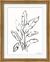 Framed Banana Leaf Drawing