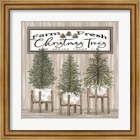 Framed Potted Christmas Trees