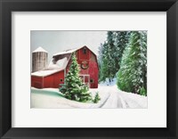 Framed Winter Pines Red Barn