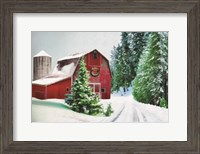 Framed Winter Pines Red Barn