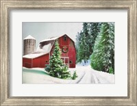 Framed Winter Pines Red Barn