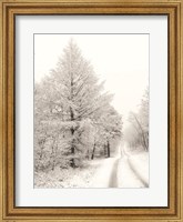 Framed Berry Mountain Road