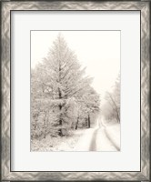 Framed Berry Mountain Road