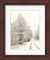 Framed Berry Mountain Road