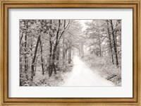 Framed Snowy Lane