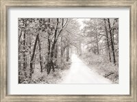 Framed Snowy Lane