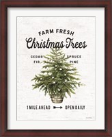 Framed Farm Fresh Christmas Trees I