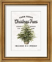 Framed Farm Fresh Christmas Trees I