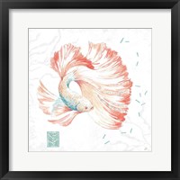 Delicate Sea II Framed Print