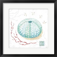 Delicate Sea VII Framed Print