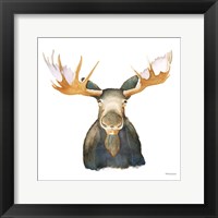 Framed Moose