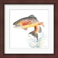 Framed Cutthroat Trout