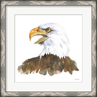 Framed Bald Eagle