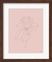 Framed Magnolia Line Drawing Pink