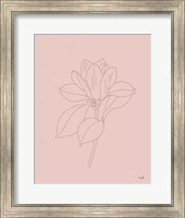 Framed Magnolia Line Drawing Pink