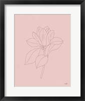 Magnolia Line Drawing Pink Framed Print