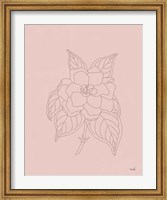 Framed Gardenia Line Drawing Pink
