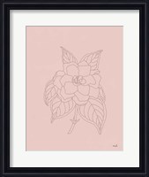 Framed Gardenia Line Drawing Pink